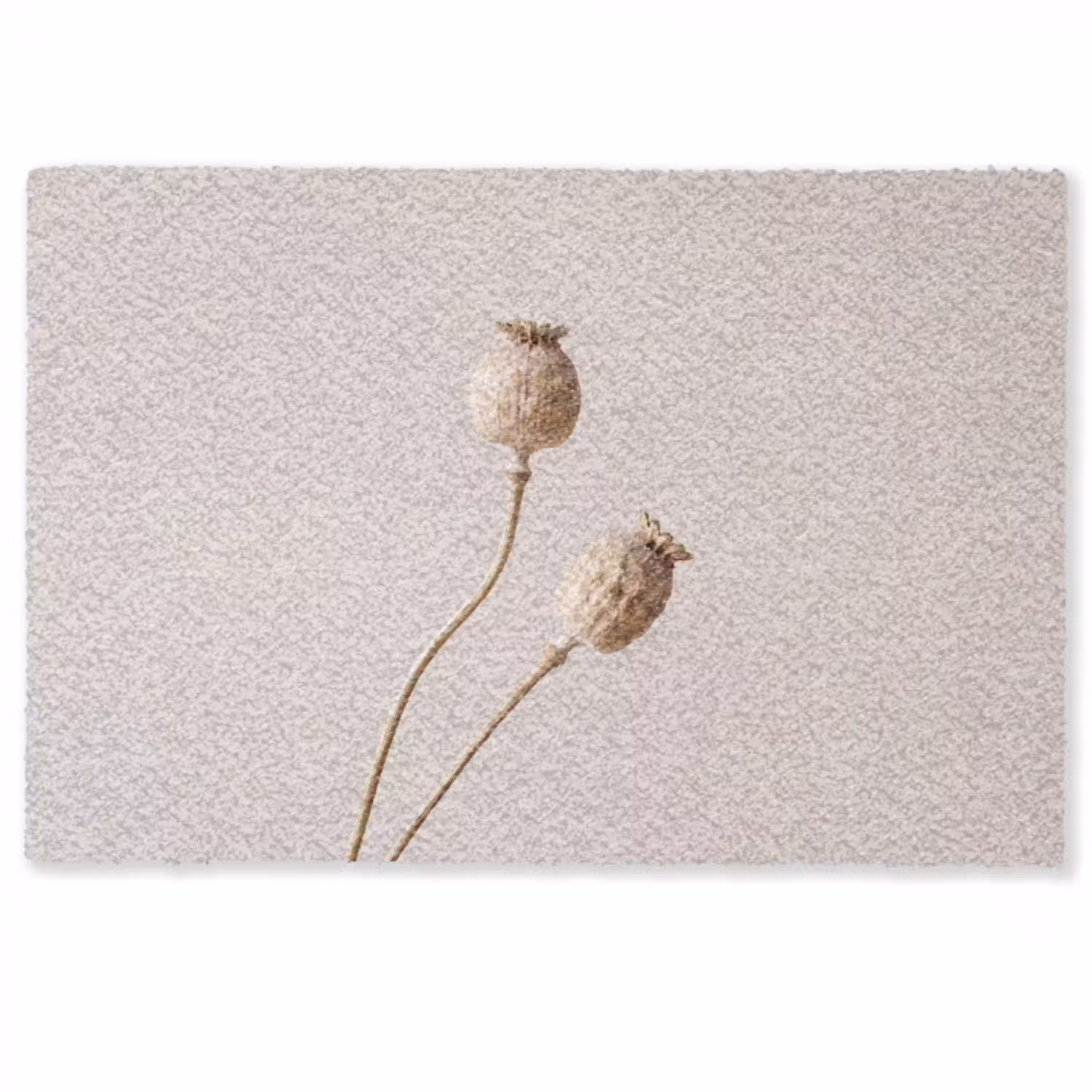 Papaverbollen - Droogbloemen - Minimalistisch - Beige - Rustig Deurmat klein -zkaufland3d