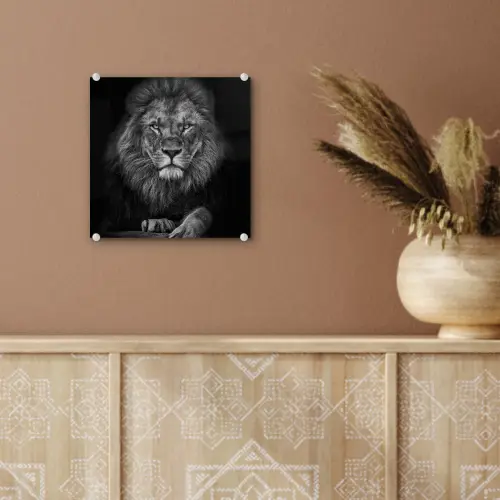 Leeuw - Dieren - Zwart - Wit plexiglas 5mm klein -sfeer5