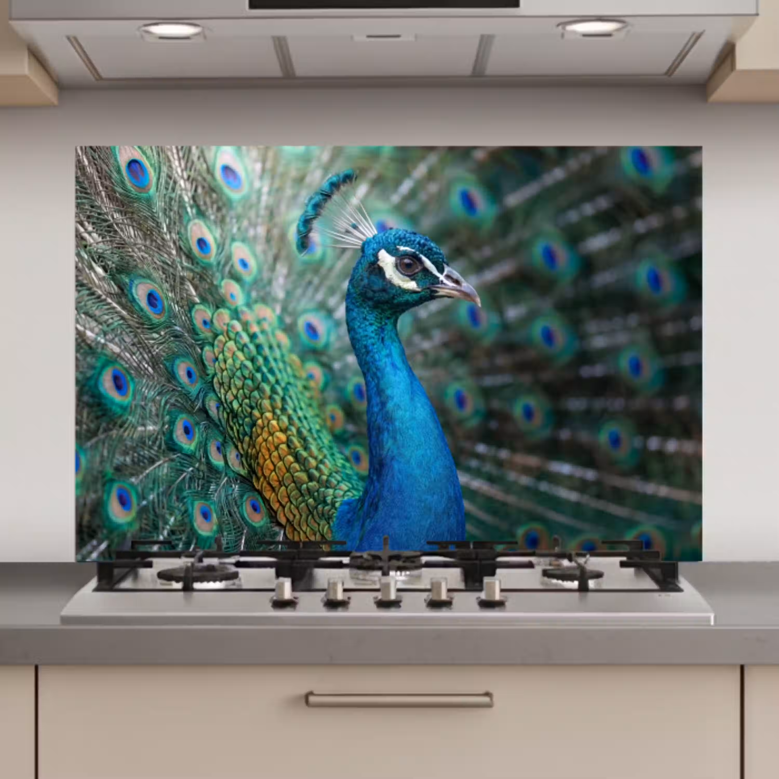 Pauw - Veren - Blauw keuken achterwand spatscherm klein -3d_website