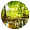 Bos - Landschap - Water - Bomen - Zon - Groen - Natuur Wandcirkel kunststof plaat 5mm dik klein -3d