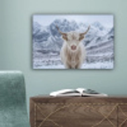 Schotse Hooglander - Sneeuw - Bergen - Winter canvas 2cm klein -sfeer4