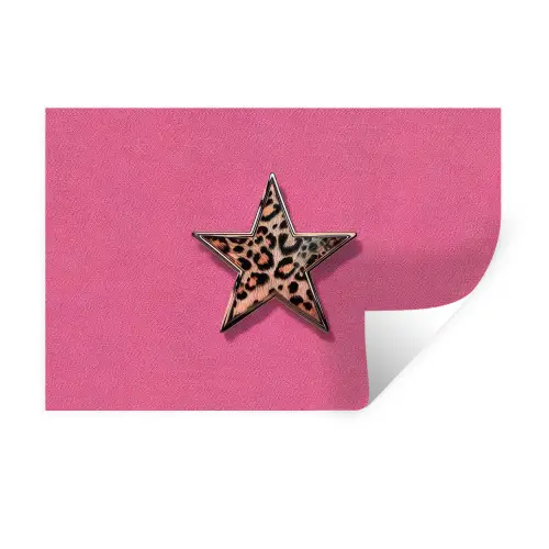 Ster - Luipaard - Print - Roze Muursticker klein -3d
