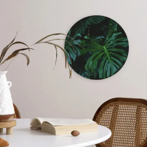 Monstera -  Inductie beschermer - Bladeren - Tropical - Afdekplaat voor kookplaat Wandcirkel kunststof plaat 5mm dik klein -sfeer4