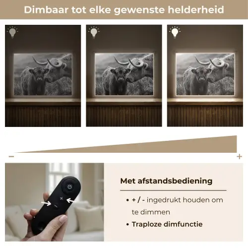 Schotse hooglander - Kalf - Zwart - Wit Light Box met batterij (Wandlamp) middel -USP_dimbaarNL