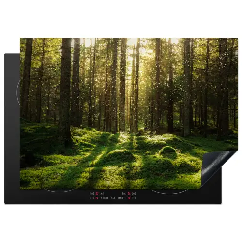 Bomen - Bos - Mos - Planten - Zon - Natuur Inductie beschermer vinyl 3mm middel -3d