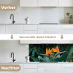 Paradijsvogel - Bloem - Exotisch keuken achterwand 2 middel -voor-na_DE