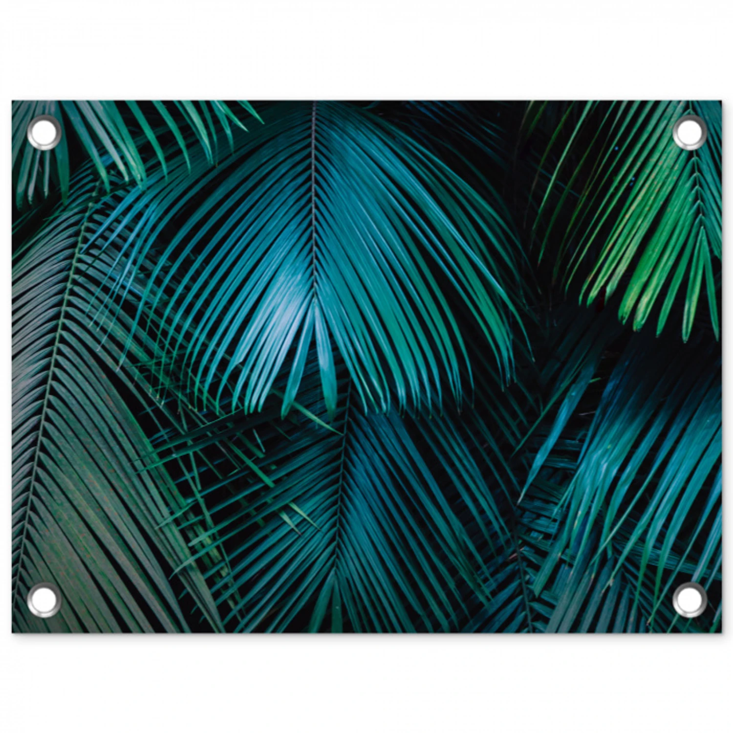Palmblad - Tropisch - Natuur - Jungle tuinposter los doek klein -3d