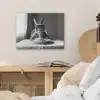 Konijn - Bunny - Zonnebril - Tafelkleed - Pasta - Schattig PET vilt klein -sfeer3