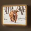 Schotse Hooglander - Sneeuw - Winter - Natuur - Dieren Light Box met batterij (Wandlamp) middel -z3d_website