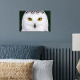 Sneeuwuil - Portret - Geel poster papier klein -sfeer2
