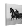 Paarden - Gras - Zwart - Wit aluminium wit klein -3d