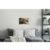 Dennenappels - Kerstsfeer - Bruin - Groen Muursticker klein -slaapkamer