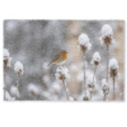 Roodborstje - Gedroogde bloem - Sneeuw - Winter - Vertederend Deurmat klein -zkaufland3d
