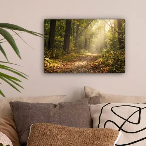 Zonlicht - Bospad - Bomen canvas 2cm klein -sfeer1