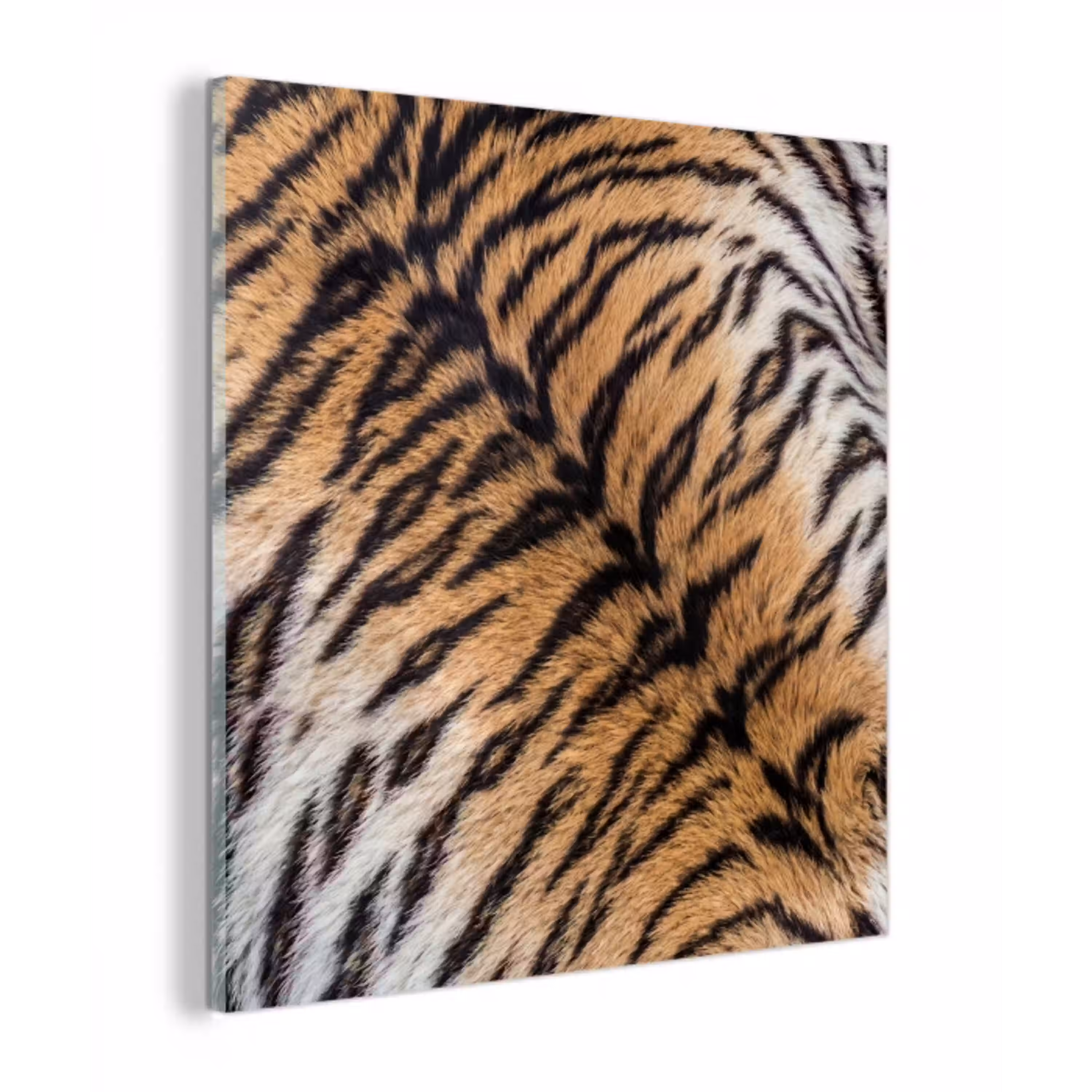 Realistisch - Tijgervacht - Zwart plexiglas 5mm klein -z3d