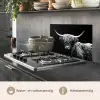 Schotse Hooglander - Koe - Zwart - Wit - Dieren keuken achterwand spatscherm klein -usp_NL