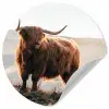 Schotse hooglander - Dieren - Landelijk - Landschap - Koe - Natuur Wandcirkel behangsticker klein -3d
