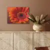 Oranje - Gerbera - Intens PET vilt klein -sfeer4