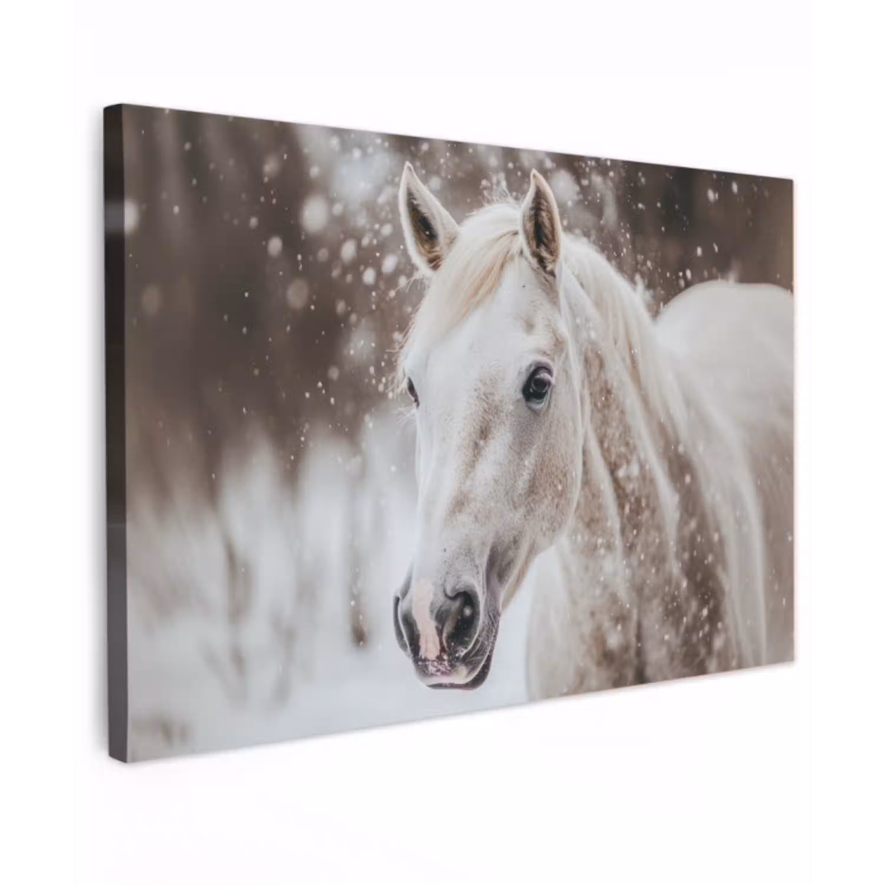 Paard - Wit - Winter - Natuur - Sneeuw - Dieren Tuinposter op houten frame 2 cm dik klein -3d