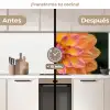 Dahlia - Bloem - Oranje keuken achterwand 2 middel -voor-na2_ES