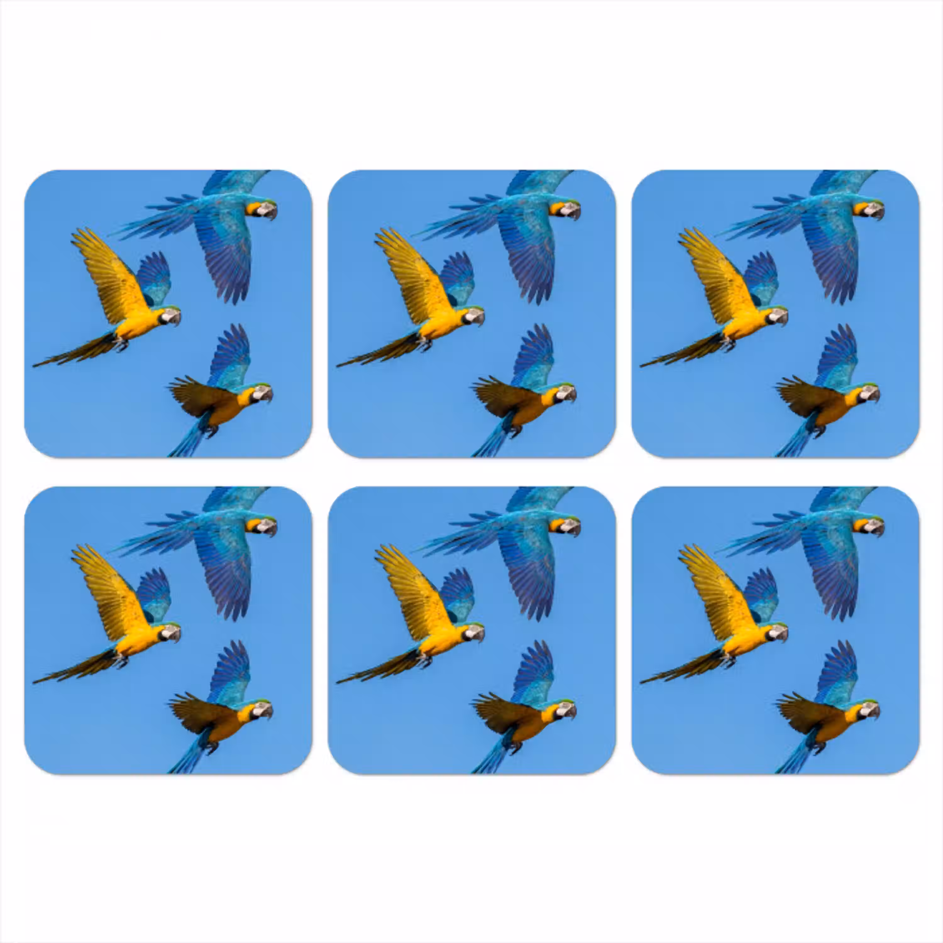 Papagaai - Vliegen - Blauw - Geel onderzetter kurk middel -3d