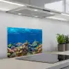 Onderwaterlandschap - Vissen - Schildpad - Blauw keuken achterwand spatscherm klein -3d_schuin