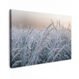 Rijp - Gras - Kristallen - Winter - Minimalistisch canvas 2cm klein -z3d