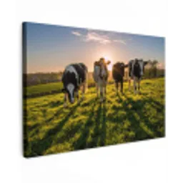 Koeien in de ochtendzon Tuinposter op houten frame 2 cm dik klein -3d