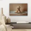Bad - Hond - Boek - Zonnebril canvas 2cm klein -sfeer6