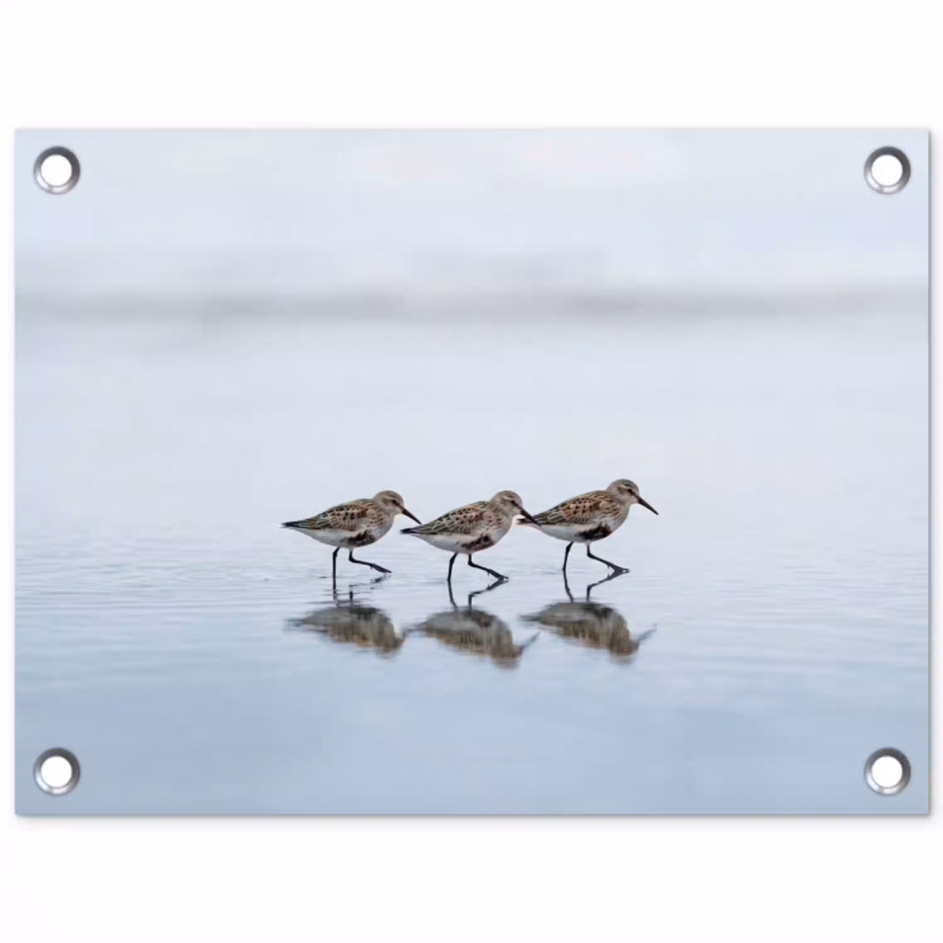 Vogels - Water - Grijs tuinposter los doek klein -3d