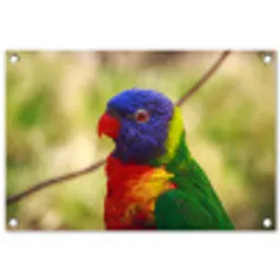 Vogel - Parkiet - Blauw tuinposter los doek klein -3d