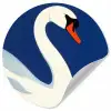 Zwaan - Wit - Snavel - Illustratie Wandcirkel behangsticker klein -3d