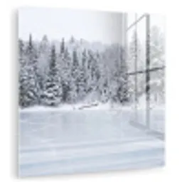 Meer - Dennen - IJs - Winter - Rustgevend plexiglas 5mm klein -zzzproduct_nieuw