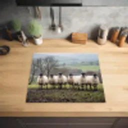 Schapen - Rij - Weide - Dieren - Platteland Inductie beschermer vinyl 3mm middel -sfeer5