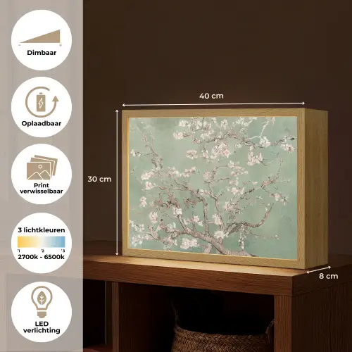 Amandelbloesem - Kunst - Van Gogh - Groen Light Box met batterij (Wandlamp) middel -USP_websiteoverzichtNL