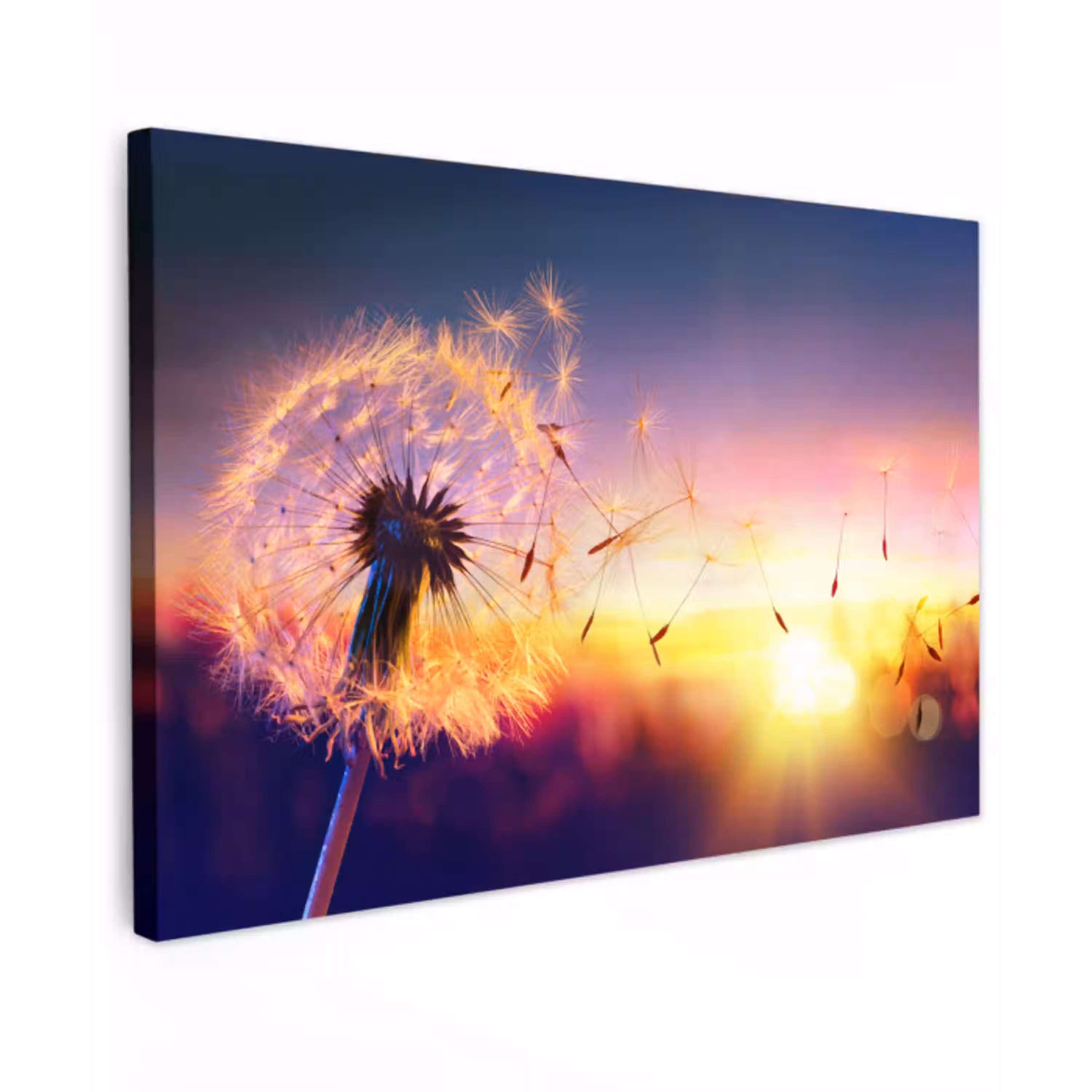 Paardenbloem - Bloemen - Zonsondergang - Horizon - Nacht Tuinposter op houten frame 2 cm dik klein -3d