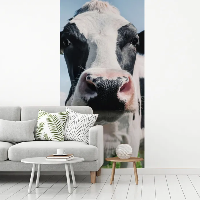 Koe - Weiland - Natuur - Dieren - Gras fotobehang vinyl groot -woonkamer