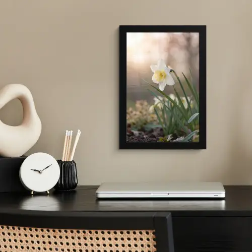 Narcis - Bloem - Minimalistisch fotolijst zwart zonder passe partout klein -sfeer1