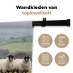 Schapen - Rij - Weide - Dieren - Platteland Wandkleed katoen middel -sfeer2