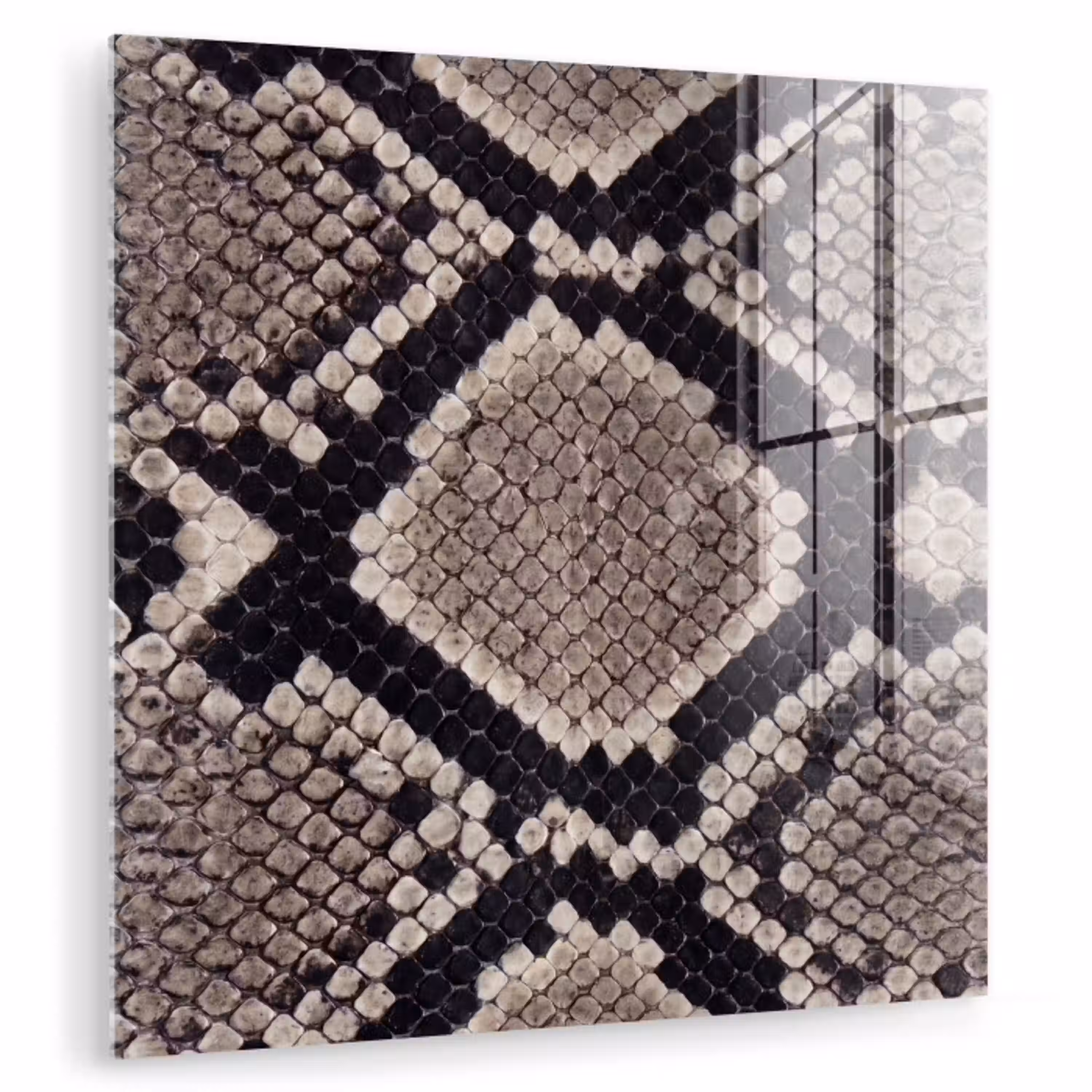 Slangenleer - Patroon - Beige plexiglas 5mm klein -zzzproduct_nieuw