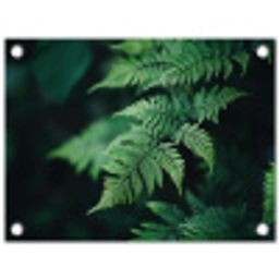 Varenblad - Groen - Structuur - Wazig tuinposter los doek klein -3d