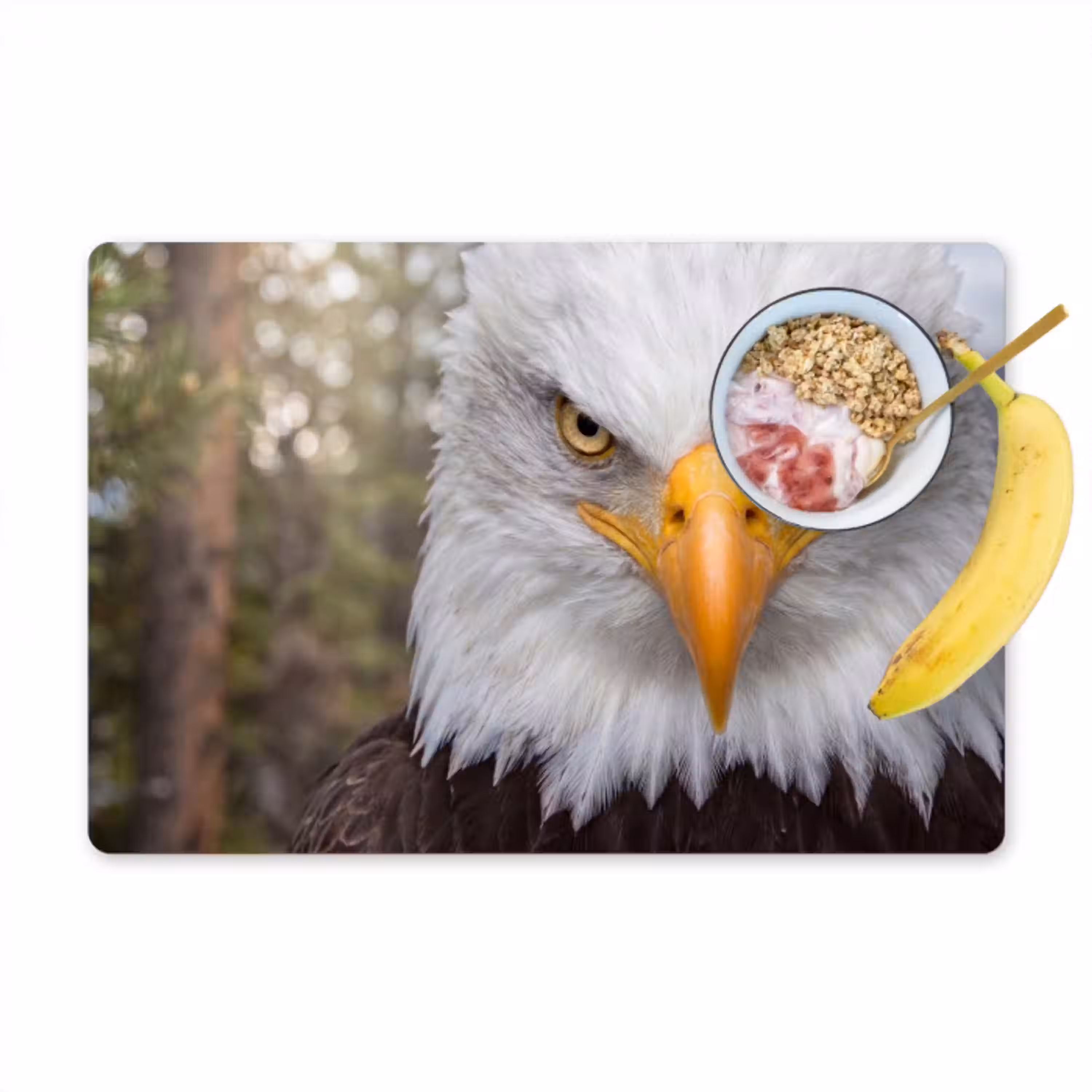 Amerikaans - Zeearend - Portret - Geel Placemat vinyl groot -zzzproduct_Kitchenyeah-website