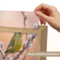 Groenling - Katjes - Lente - Natuur - Zacht Light Box met kabel (Kinderlampje) klein -USP_websiteprintFR