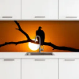 Gier - Tak - Zon - Oranje keuken achterwand 2 middel -3d