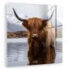 Schotse hooglander - Bruin - Water plexiglas 5mm klein -zzzproduct_nieuw