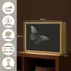 Vlinder - Zwart - Insect - Dieren Light Box met batterij (Wandlamp) middel -USP_websiteoverzichtNL