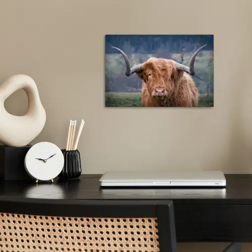 Schotse Hooglander - Koeienkop - Landschap - Natuur - Koe poster papier klein -sfeer1