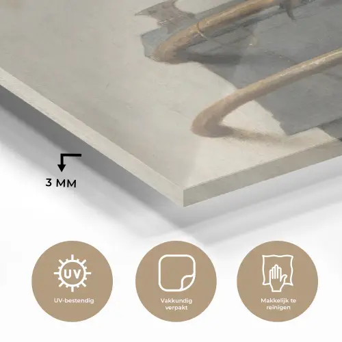 Het puttertje - Carel Fabritius plexiglas 5mm klein -sfeer2
