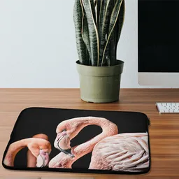 laptophoes-sfeerbeeld-1.png