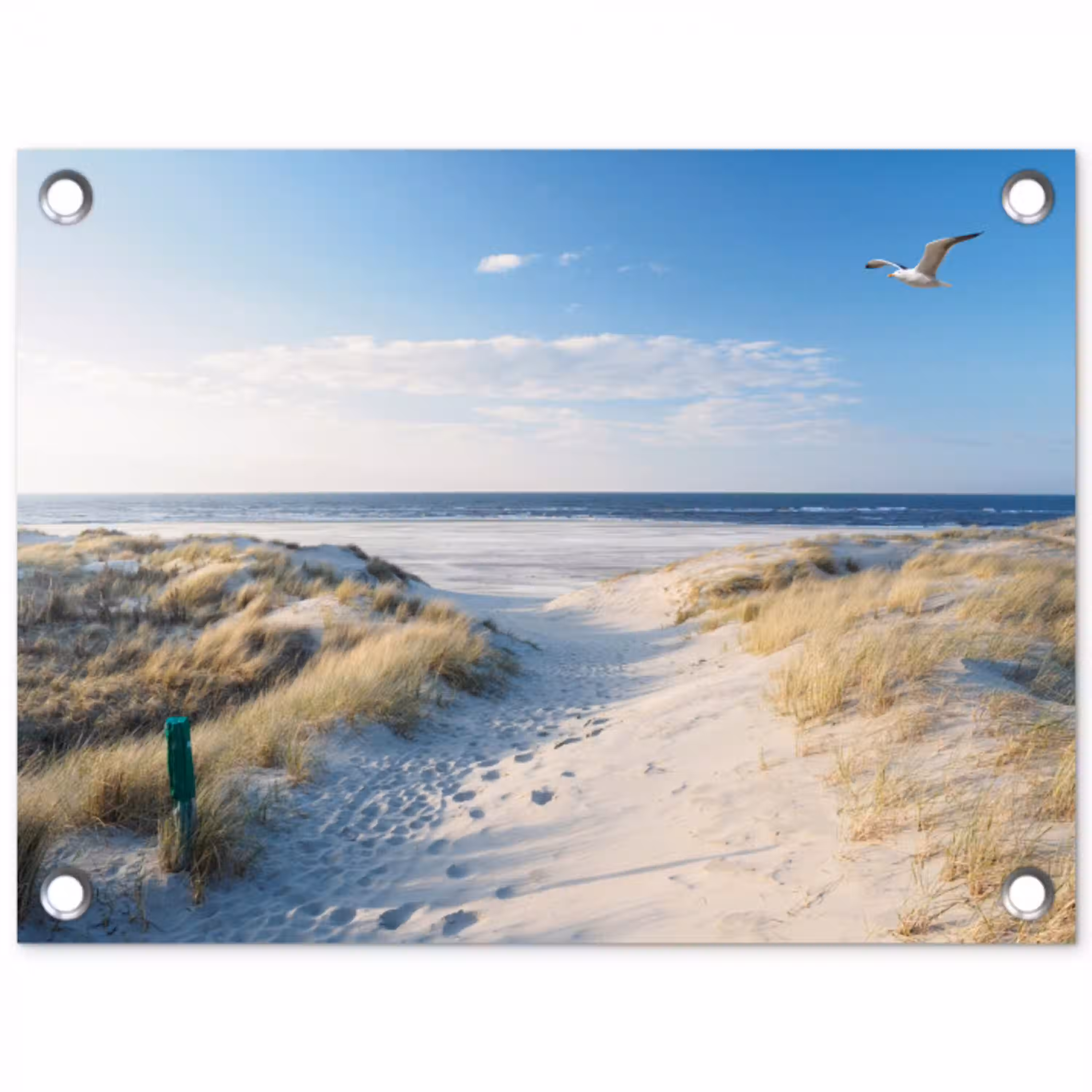 Duin - Meeuw - Strand - Zee - Zon tuinposter los doek klein -3d